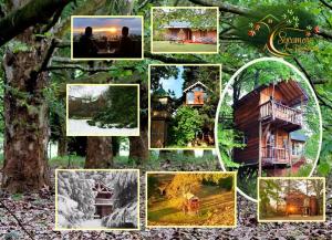 Sycamore Avenue Treehouses,Cathkin Park>>Balgowan,3 star