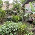 rio dulce