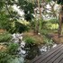 rio dulce