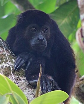 boatique hotel and marina