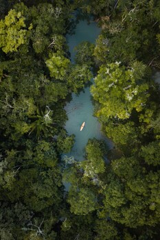 boatique hotel and marina