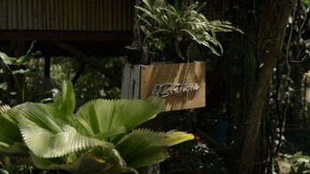 rio dulce