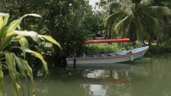 rio dulce