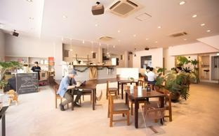 guest house banvina hostel