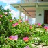 onil rock resort
