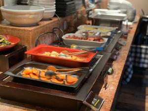 hotel resol akihabara