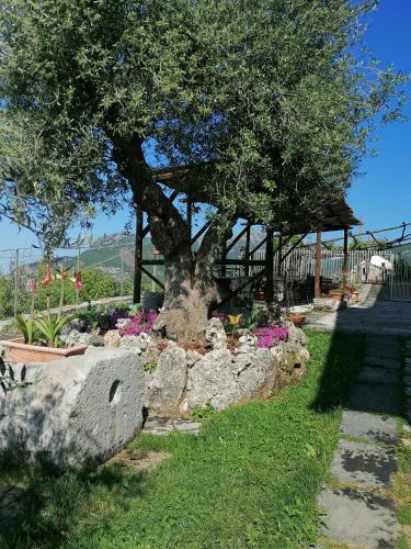 agerola
