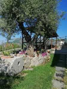 agerola