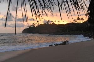 ayurvie weligama ayurvedic retreat