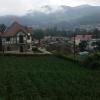 villa de roshe