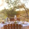 ivory wilderness river rock lodge