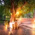 rukiya safari camp