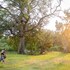 rukiya safari camp