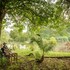 rukiya safari camp