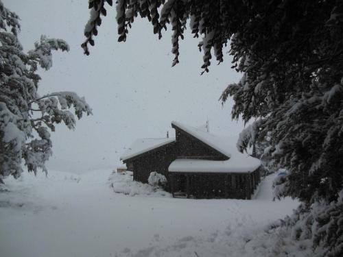 forest lodge