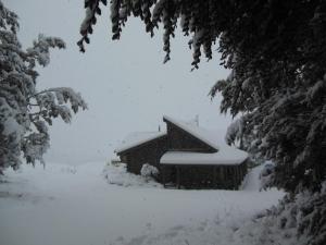 forest lodge