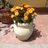 bandb il giardino sul mare