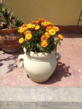 bandb il giardino sul mare