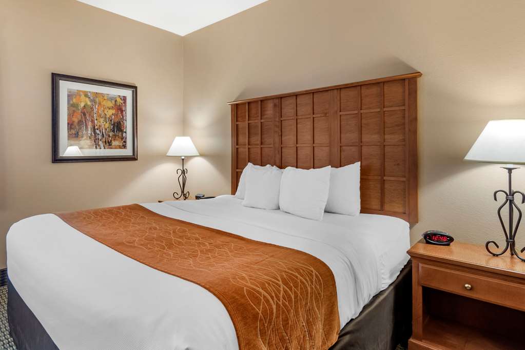 comfort inn and suites
