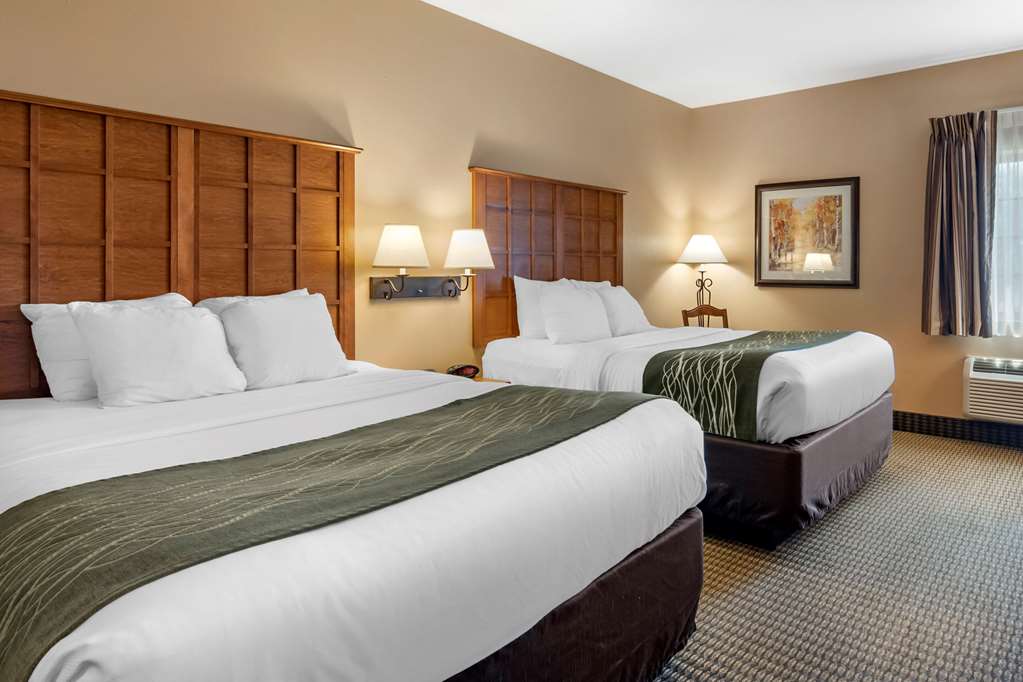 comfort inn and suites