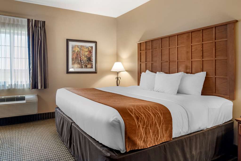 comfort inn and suites