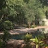 528 victoria falls guest house