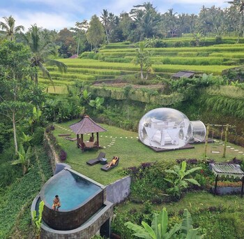 bubble hotel bali ubud glamping