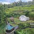 bubble hotel bali ubud glamping