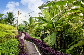 bubble hotel bali ubud glamping