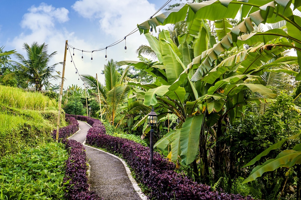 bubble hotel bali ubud glamping