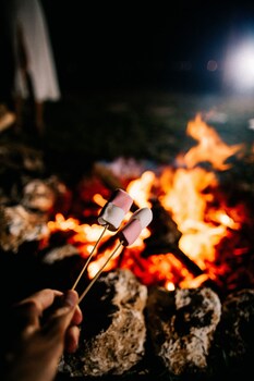 bubble hotel bali ubud glamping