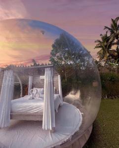 bubble hotel bali ubud glamping