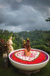 bubble hotel bali ubud glamping