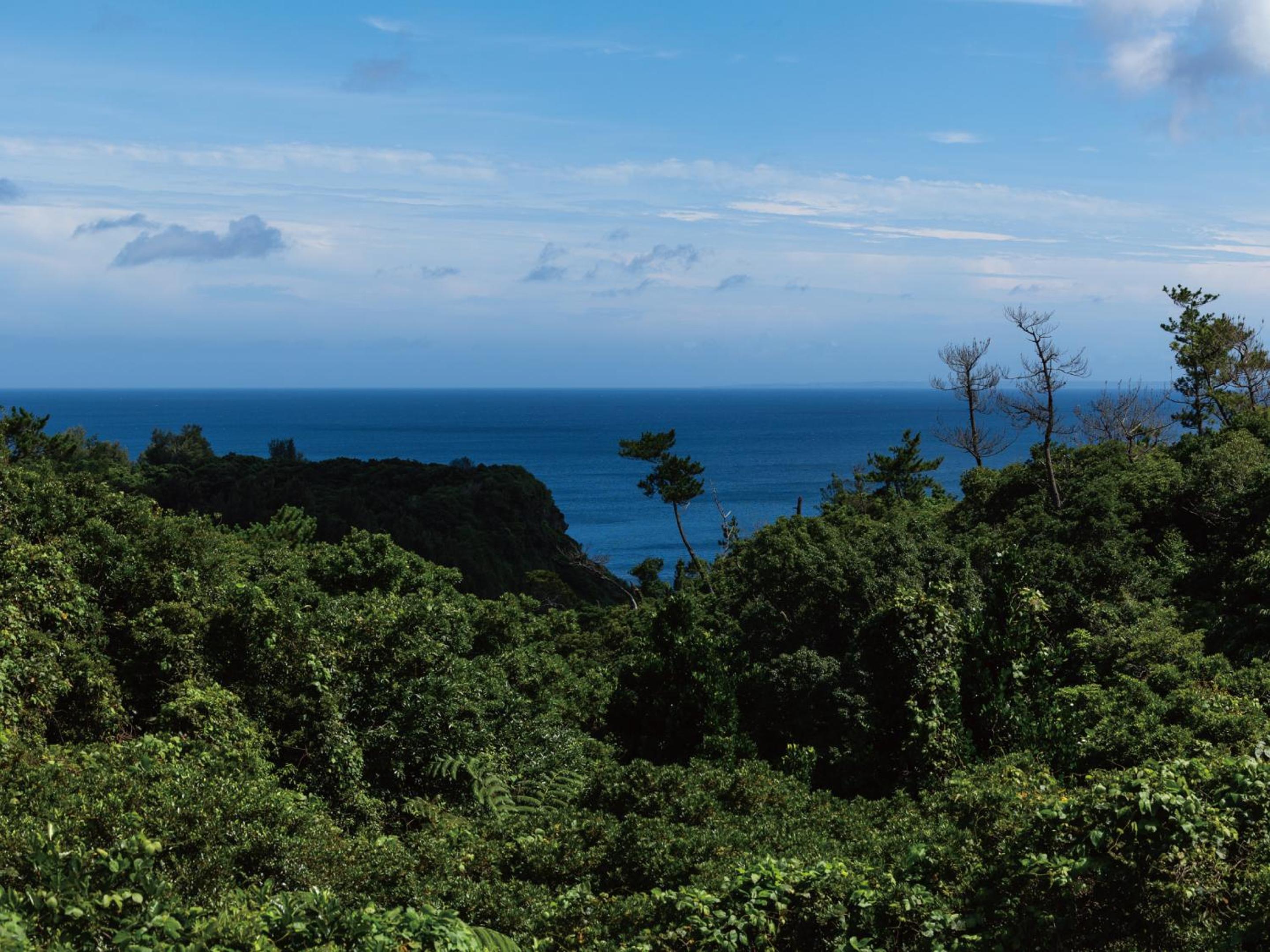 onna okinawa prefecture