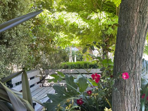 ashleigh court motel christchurch hagley park