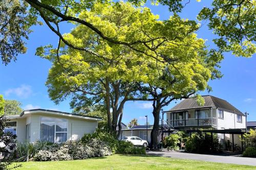 ashleigh court motel christchurch hagley park