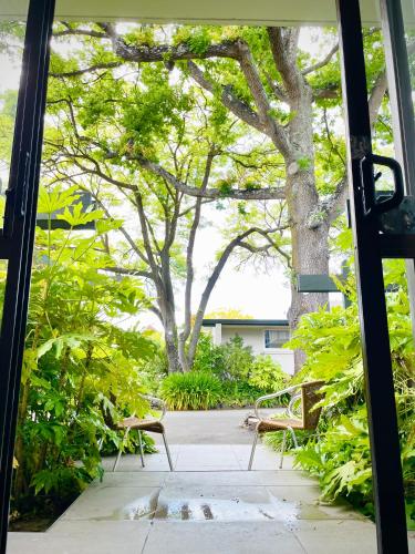 ashleigh court motel christchurch hagley park