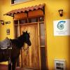 hotel la caracola