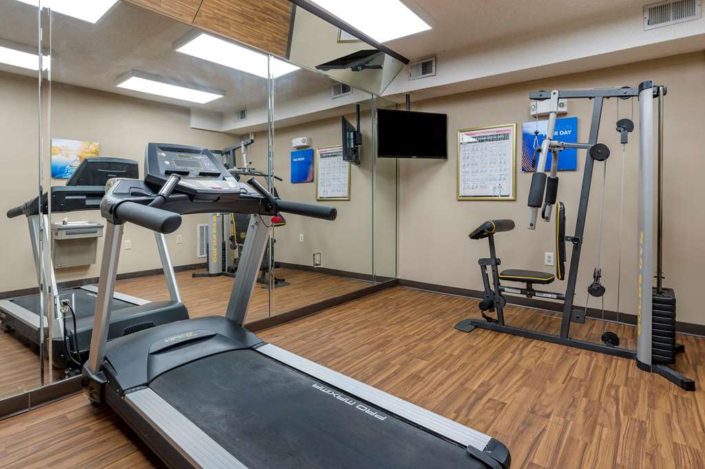 comfort inn and suites