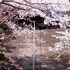 inawashiro