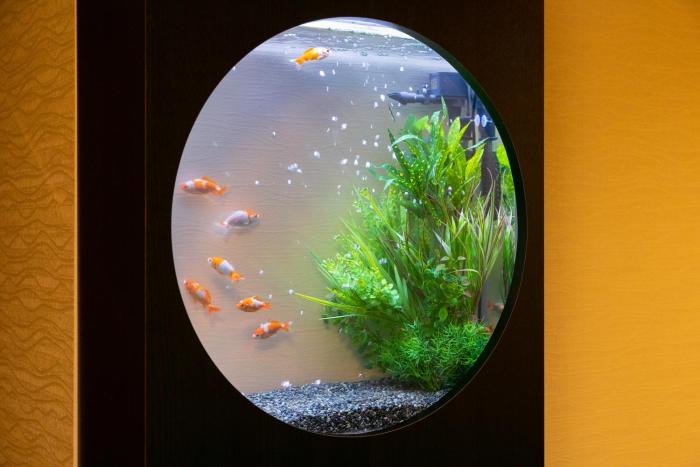 hotel eldia luxury kobe adult only