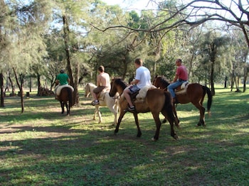 paraguari
