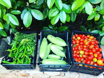 bedandbreakfast villa mamma grazia