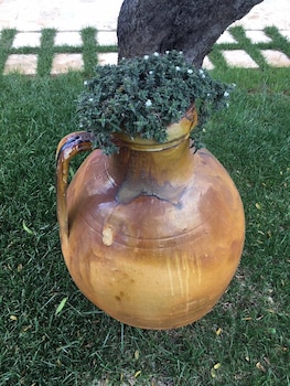 bedandbreakfast villa mamma grazia