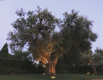 bedandbreakfast villa mamma grazia