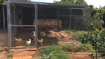 bedandbreakfast villa mamma grazia