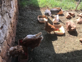 san vito dei normanni