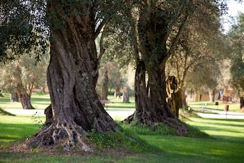 uliveto principessa resort