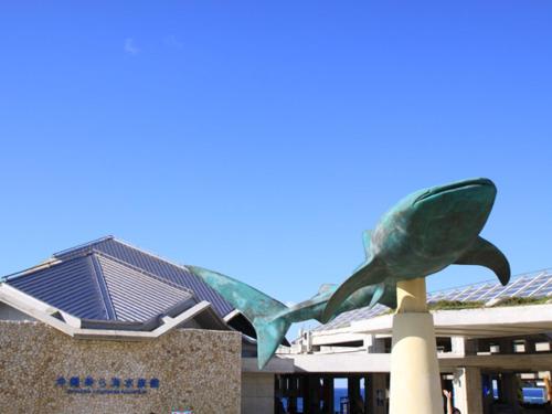 kariyushi condominium resort nago sea side house