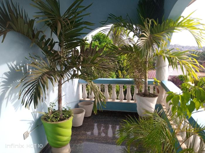 elizz guest house